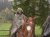 Cattle_Drive_2008